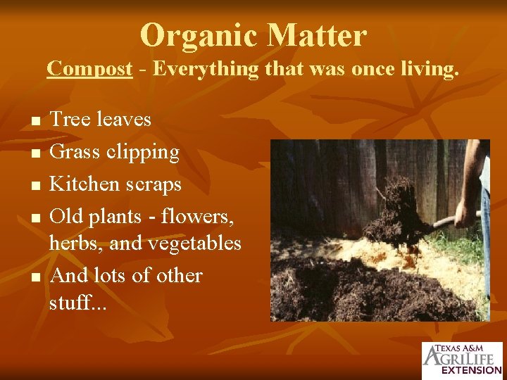 Organic Matter Compost - Everything that was once living. n n n Tree leaves