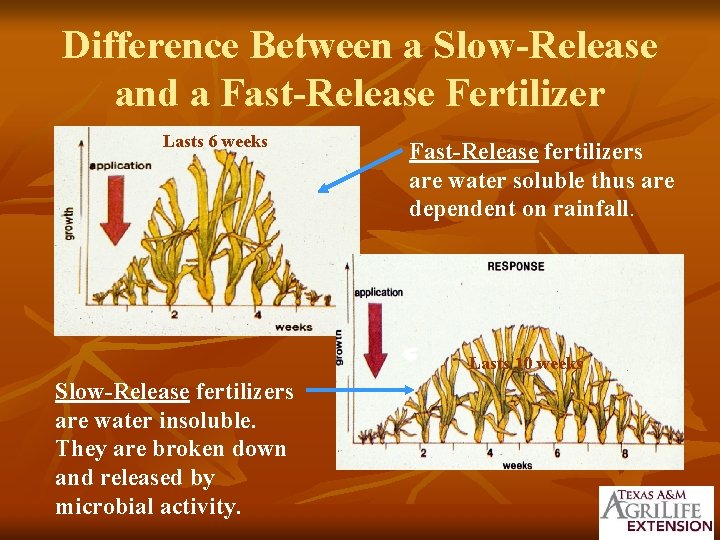 Difference Between a Slow-Release and a Fast-Release Fertilizer Lasts 6 weeks Fast-Release fertilizers are