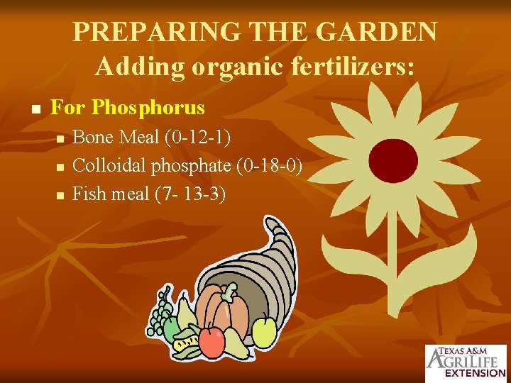 PREPARING THE GARDEN Adding organic fertilizers: n For Phosphorus n n n Bone Meal