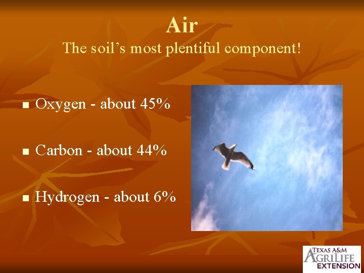 Air The soil’s most plentiful component! n Oxygen - about 45% n Carbon -