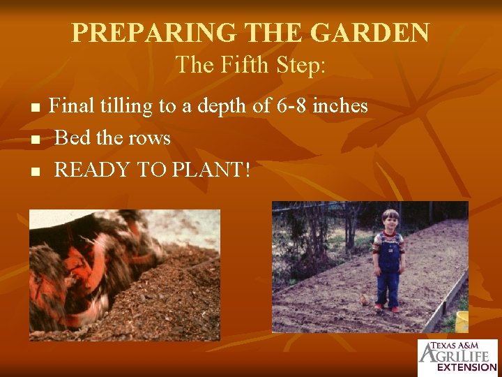 PREPARING THE GARDEN The Fifth Step: n n n Final tilling to a depth