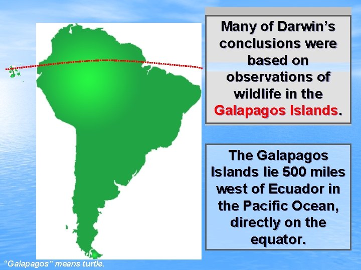 Many of Darwin’s conclusions were based on observations of wildlife in the Galapagos Islands.