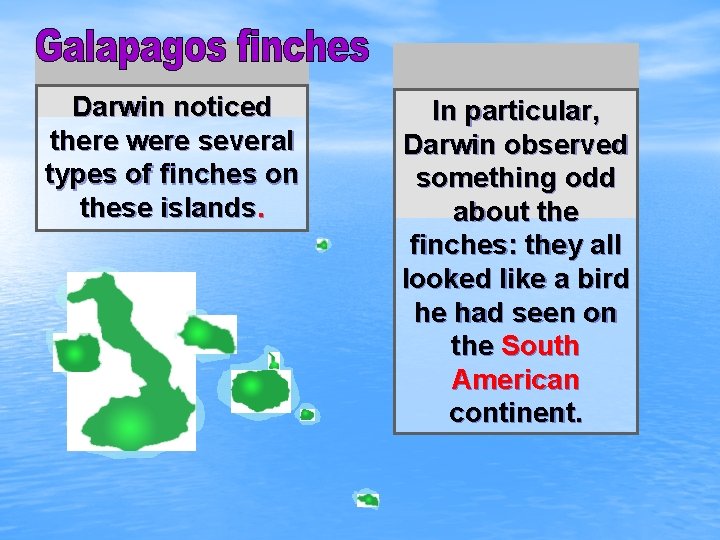 Darwin noticed there were several types of finches on these islands. In particular, Darwin