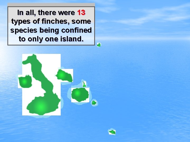 In all, there were 13 types of finches, some species being confined to only