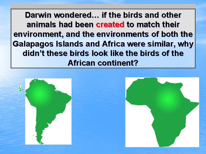 Darwin wondered… if the birds and other animals had been created to match their