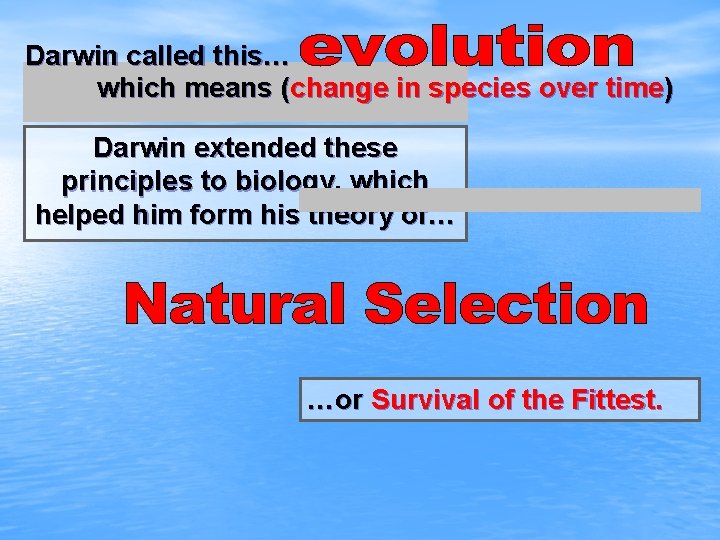 Darwin called this… which means (change in species over time) Darwin extended these principles