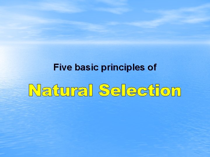 Five basic principles of 