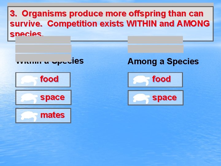 3. Organisms produce more offspring than can survive. Competition exists WITHIN and AMONG species.