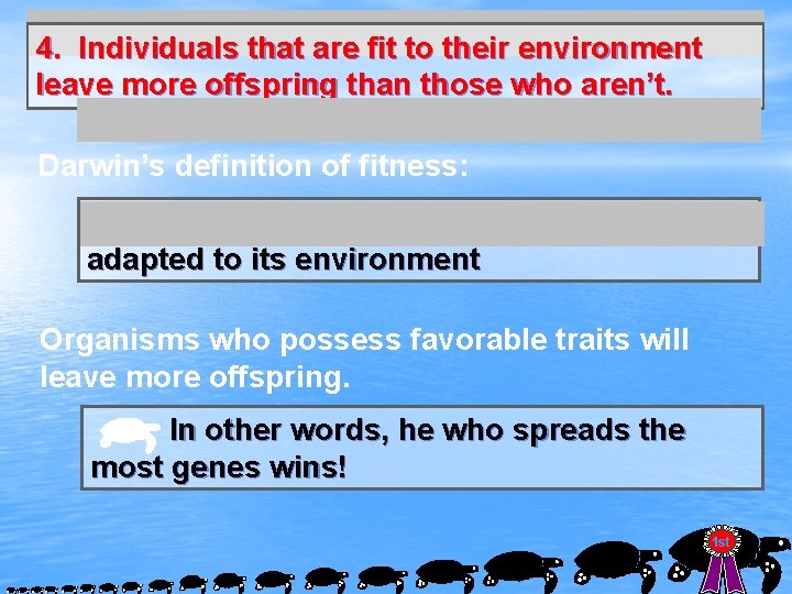 4. Individuals that are fit to their environment leave more offspring than those who