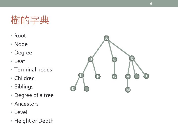 6 樹的字典 • Root A • Node • Degree B • Leaf • Terminal