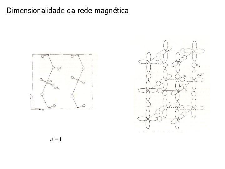 Dimensionalidade da rede magnética d=1 