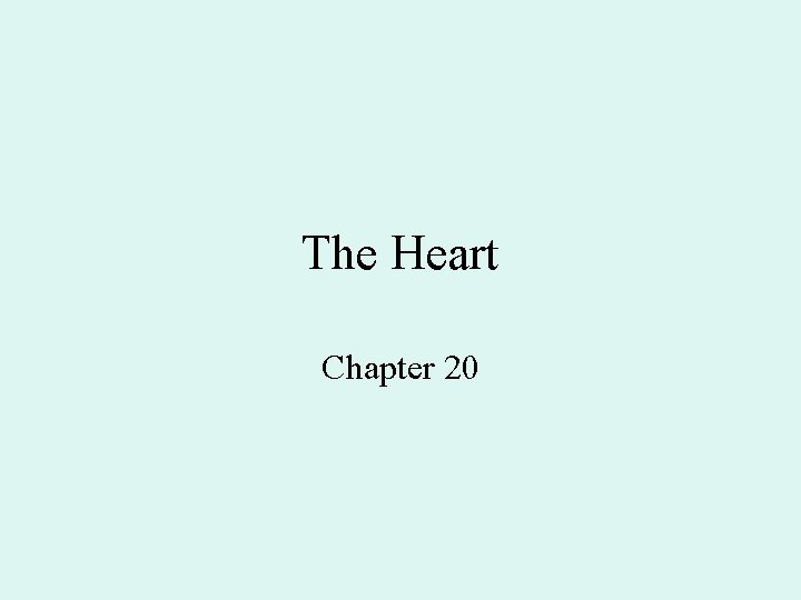 The Heart Chapter 20 The Heart Chapter 20