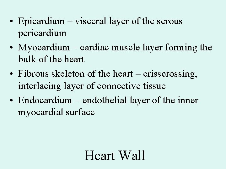 • Epicardium – visceral layer of the serous pericardium • Myocardium – cardiac • Epicardium – visceral layer of the serous pericardium • Myocardium – cardiac