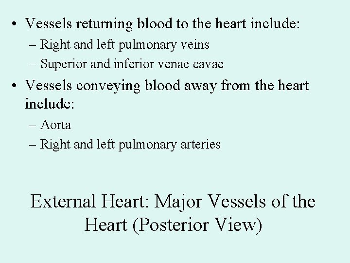 • Vessels returning blood to the heart include: – Right and left pulmonary • Vessels returning blood to the heart include: – Right and left pulmonary