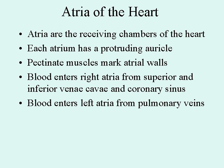 Atria of the Heart • • Atria are the receiving chambers of the heart Atria of the Heart • • Atria are the receiving chambers of the heart