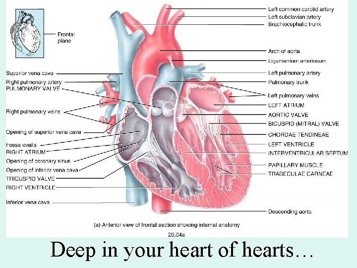 Deep in your heart of hearts… Deep in your heart of hearts…