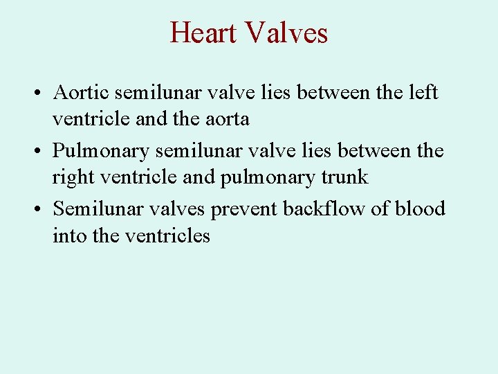 Heart Valves • Aortic semilunar valve lies between the left ventricle and the aorta Heart Valves • Aortic semilunar valve lies between the left ventricle and the aorta