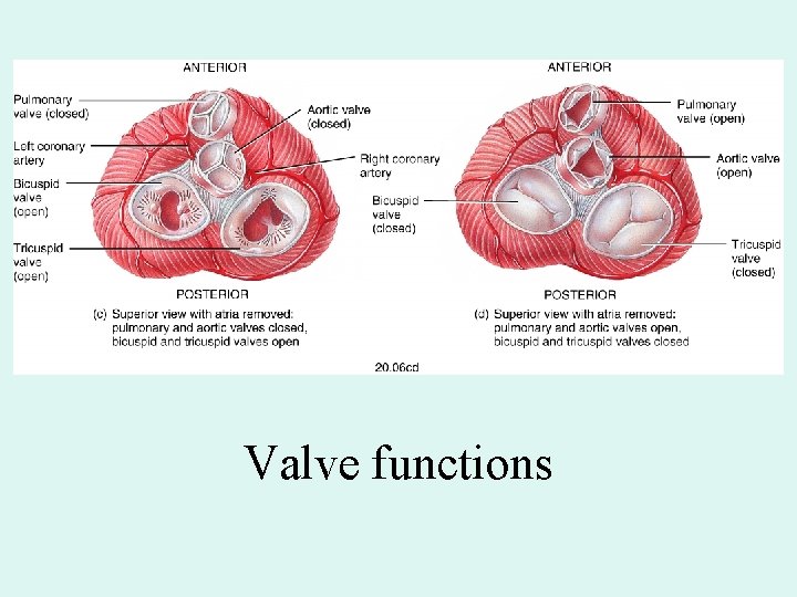 Valve functions Valve functions
