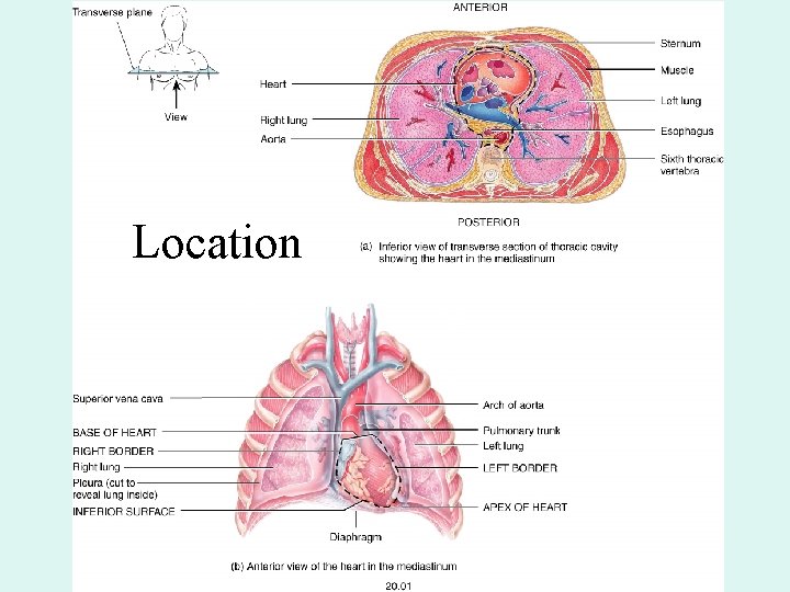 Location Location