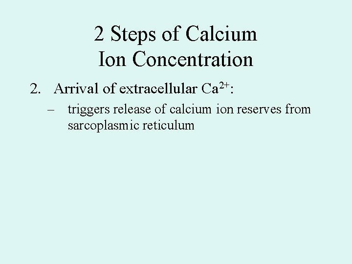 2 Steps of Calcium Ion Concentration 2. Arrival of extracellular Ca 2+: – triggers 2 Steps of Calcium Ion Concentration 2. Arrival of extracellular Ca 2+: – triggers
