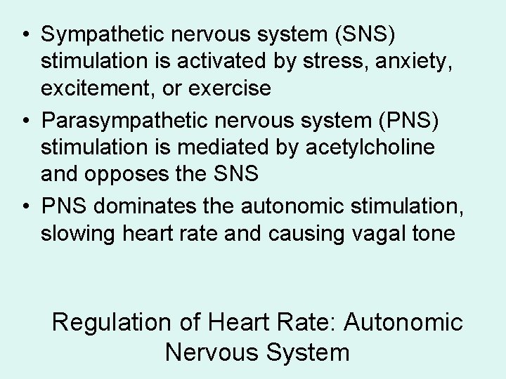 • Sympathetic nervous system (SNS) stimulation is activated by stress, anxiety, excitement, or • Sympathetic nervous system (SNS) stimulation is activated by stress, anxiety, excitement, or