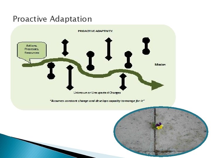 Proactive Adaptation 