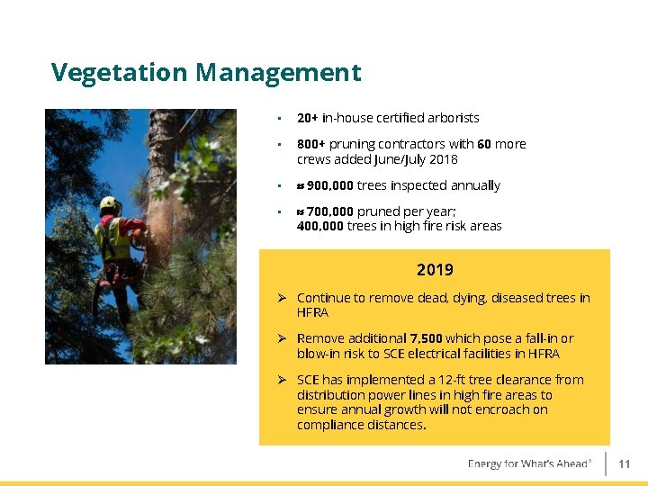 Vegetation Management • 20+ in-house certified arborists • 800+ pruning contractors with 60 more