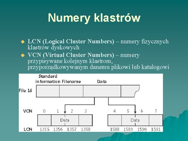 Numery klastrów u u LCN (Logical Cluster Numbers) – numery fizycznych klastrów dyskowych VCN