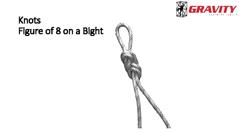 Knots Figure of 8 on a Bight 