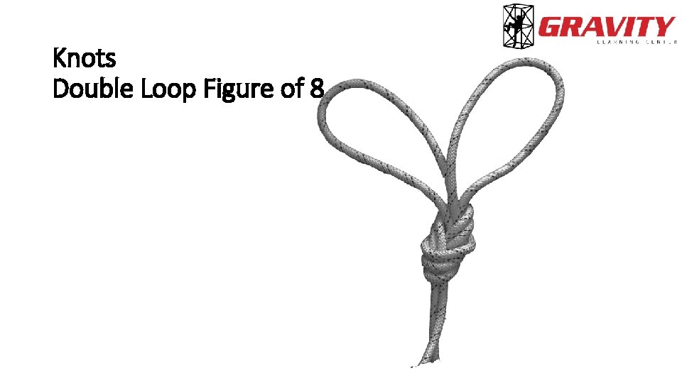 Knots Double Loop Figure of 8 