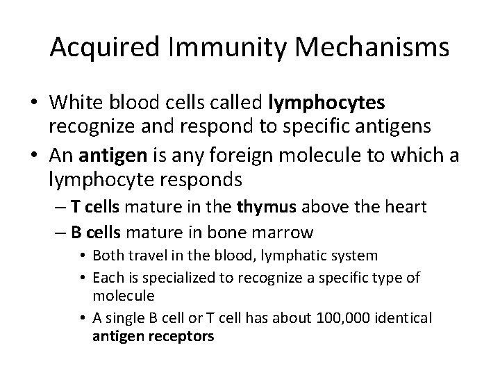Acquired Immunity Mechanisms • White blood cells called lymphocytes recognize and respond to specific