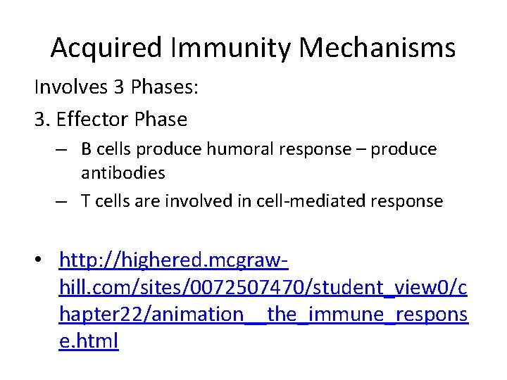 Acquired Immunity Mechanisms Involves 3 Phases: 3. Effector Phase – B cells produce humoral