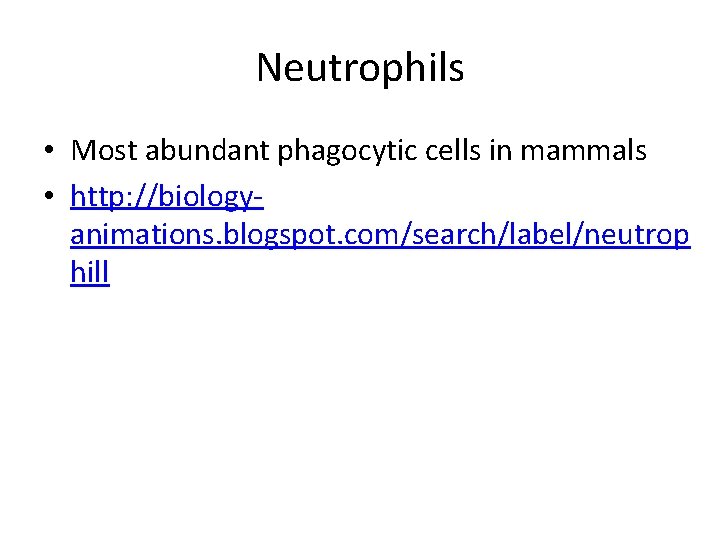 Neutrophils • Most abundant phagocytic cells in mammals • http: //biologyanimations. blogspot. com/search/label/neutrop hill