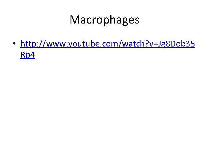 Macrophages • http: //www. youtube. com/watch? v=Jg 8 Dob 35 Rp 4 