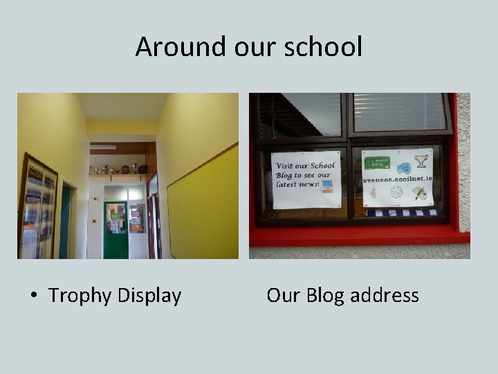 Around our school • Trophy Display Our Blog address 