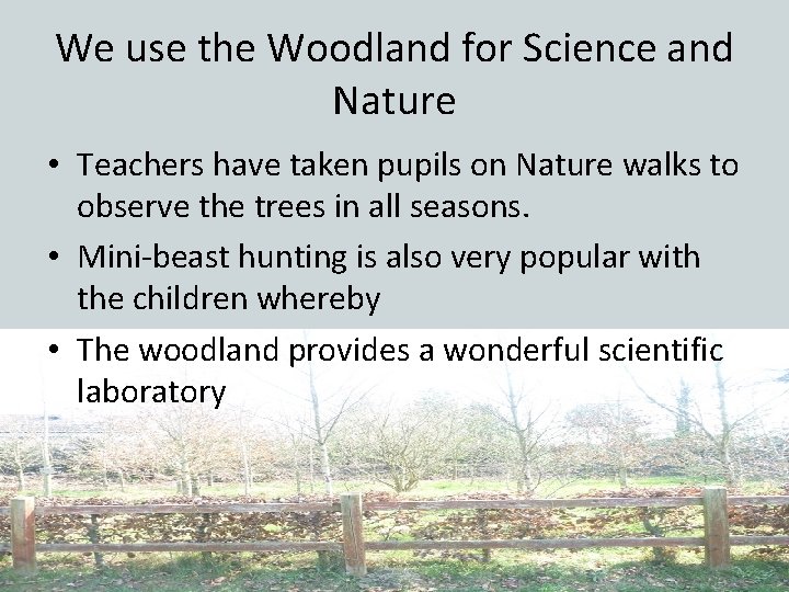 We use the Woodland for Science and Nature • Teachers have taken pupils on
