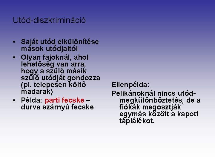 Utód-diszkrimináció • Saját utód elkülönítése mások utódjaitól • Olyan fajoknál, ahol lehetőség van arra,