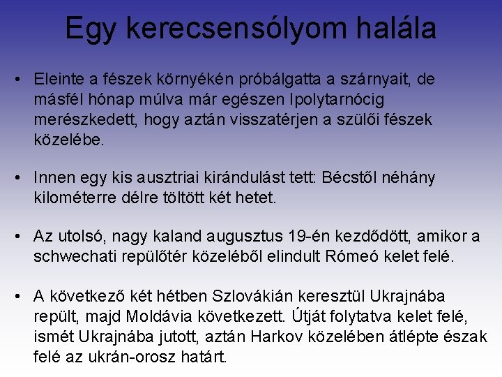 Egy kerecsensólyom halála • Eleinte a fészek környékén próbálgatta a szárnyait, de másfél hónap