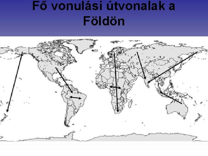 Fő vonulási útvonalak a Földön 