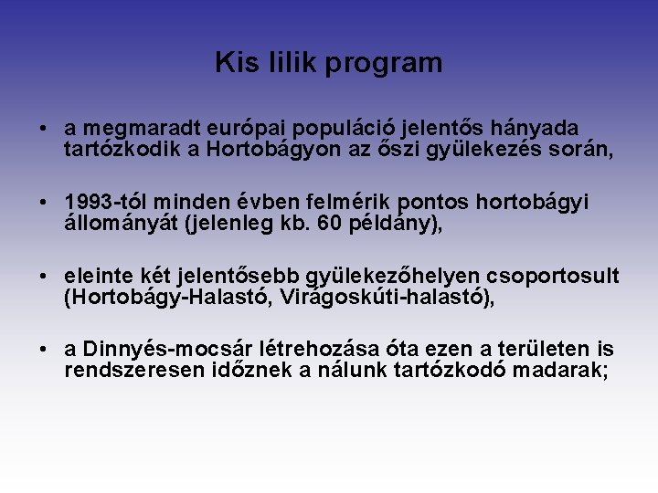 Kis lilik program • a megmaradt európai populáció jelentős hányada tartózkodik a Hortobágyon az