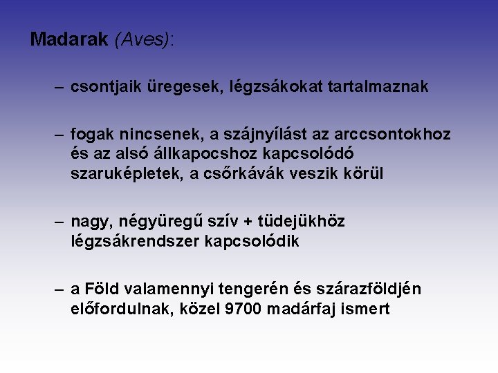 Madarak (Aves): – csontjaik üregesek, légzsákokat tartalmaznak – fogak nincsenek, a szájnyílást az arccsontokhoz