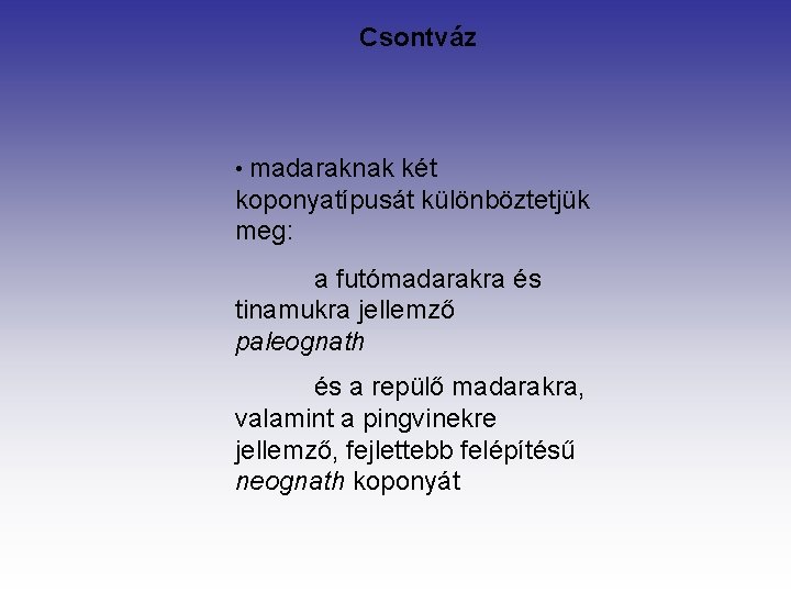 Csontváz • madaraknak két koponyatípusát különböztetjük meg: a futómadarakra és tinamukra jellemző paleognath és