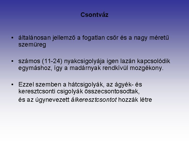 Csontváz • általánosan jellemző a fogatlan csőr és a nagy méretű szemüreg • számos