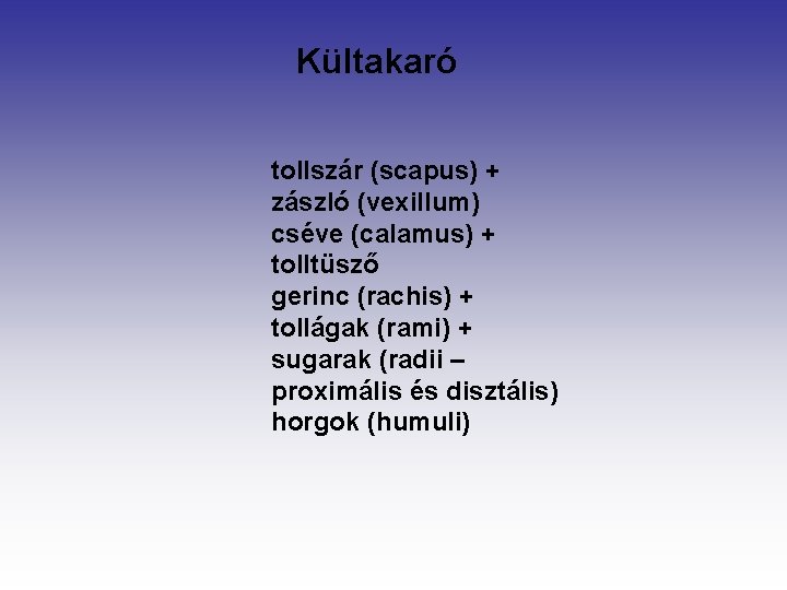 Kültakaró tollszár (scapus) + zászló (vexillum) cséve (calamus) + tolltüsző gerinc (rachis) + tollágak