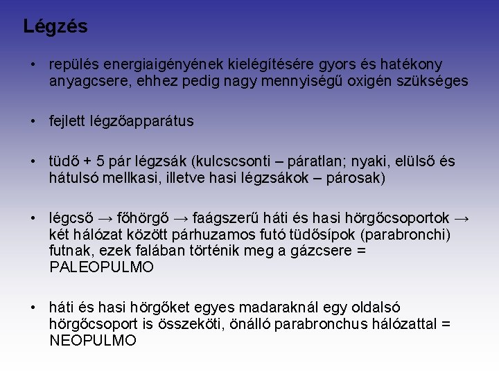 Légzés • repülés energiaigényének kielégítésére gyors és hatékony anyagcsere, ehhez pedig nagy mennyiségű oxigén