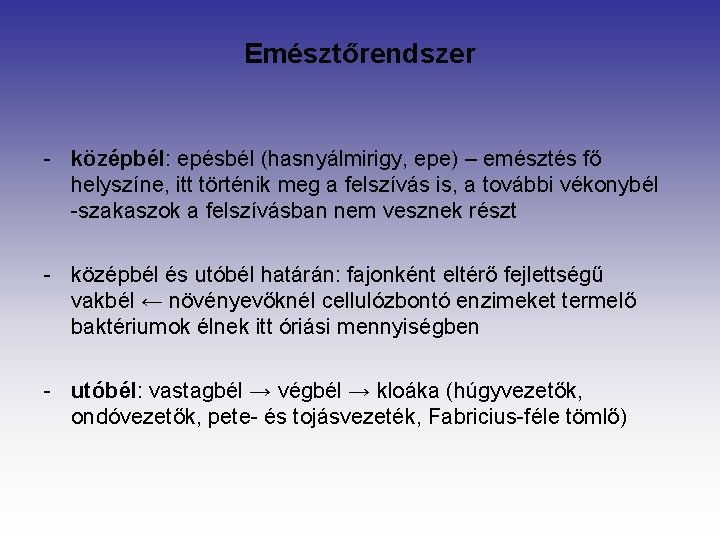 Emésztőrendszer - középbél: epésbél (hasnyálmirigy, epe) – emésztés fő helyszíne, itt történik meg a