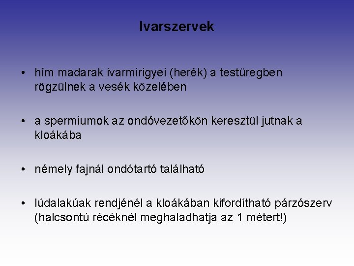 Ivarszervek • hím madarak ivarmirigyei (herék) a testüregben rögzülnek a vesék közelében • a