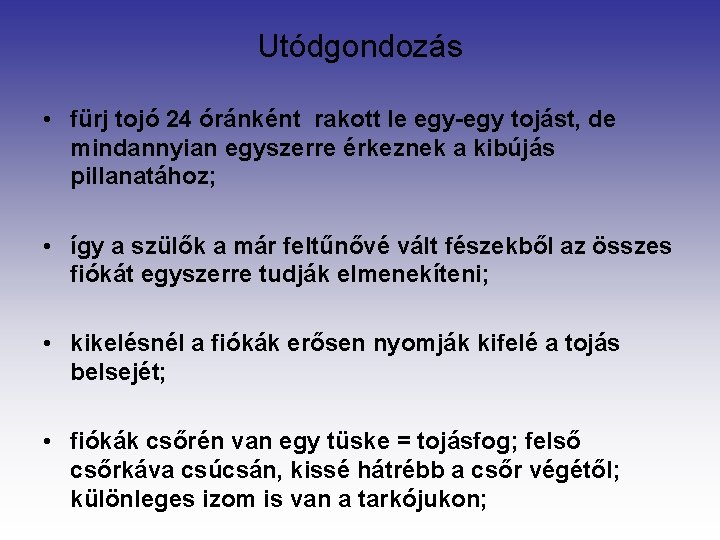 Utódgondozás • fürj tojó 24 óránként rakott le egy-egy tojást, de mindannyian egyszerre érkeznek