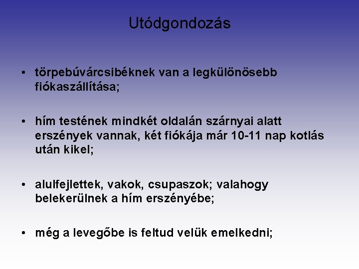 Utódgondozás • törpebúvárcsibéknek van a legkülönösebb fiókaszállítása; • hím testének mindkét oldalán szárnyai alatt