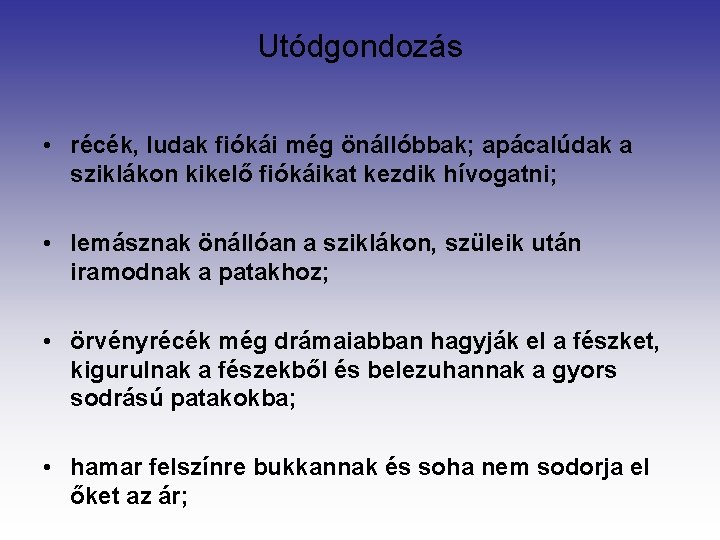 Utódgondozás • récék, ludak fiókái még önállóbbak; apácalúdak a sziklákon kikelő fiókáikat kezdik hívogatni;